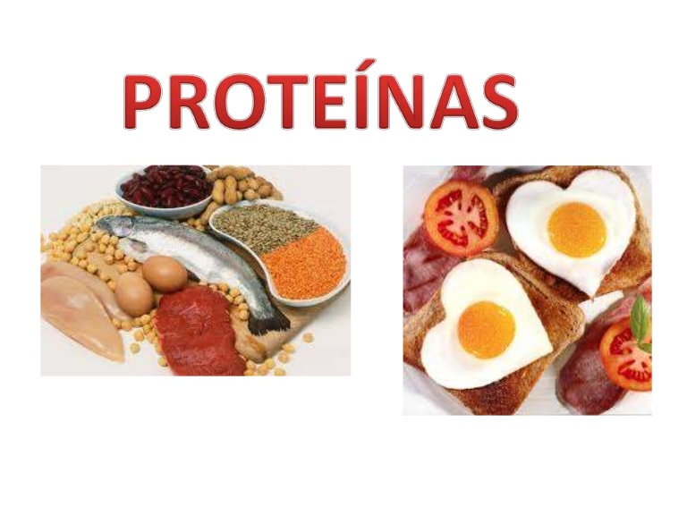 ¿Qué son las proteínas?